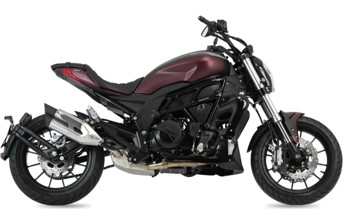 Benelli 502c